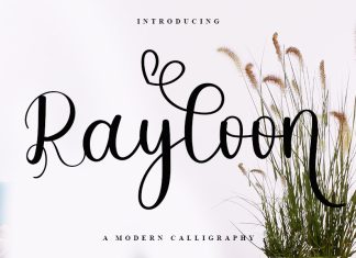 Rayloon Script Font