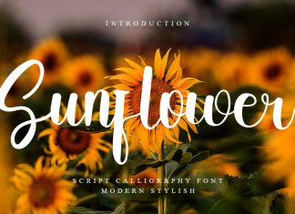 Sunflower Script Font