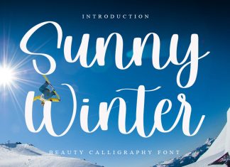 Sunny Winter Script Font