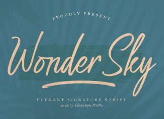 Wonder Sky Script Font