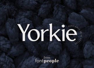 Yorkie Sans Serif Font