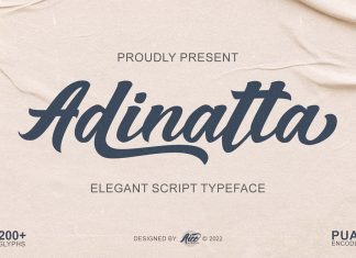Adinatta Script Font