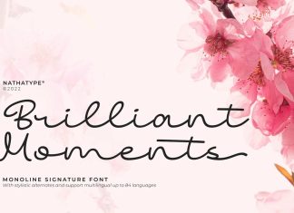 Brilliant Moments Script Font