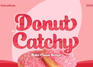 Donut Catchy Script Font