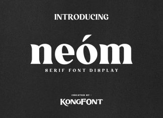 Neom Serif Font
