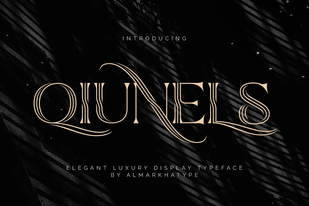Qiunels Font preview image 1