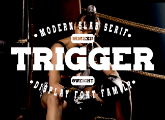 Trigger Slab Serif Font