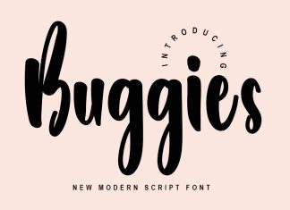 Buggies Brush Font