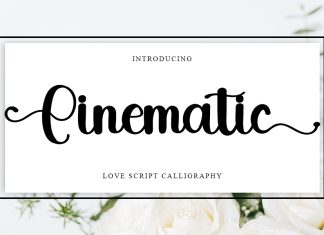 Cinematic Calligraphy Font