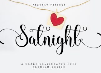 Satnight Script Typeface