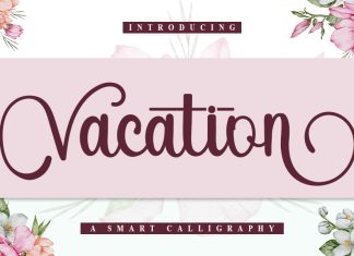 Vacation Script Typeface