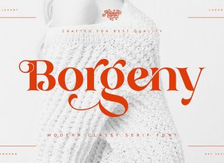 Borgeny Serif Font