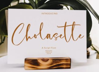 Cholasette Handwritten Font