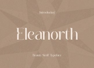 Eleanorth Serif Font