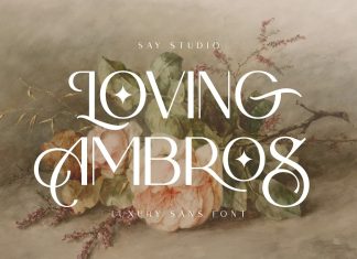 Loving Ambros Sans Serif Font