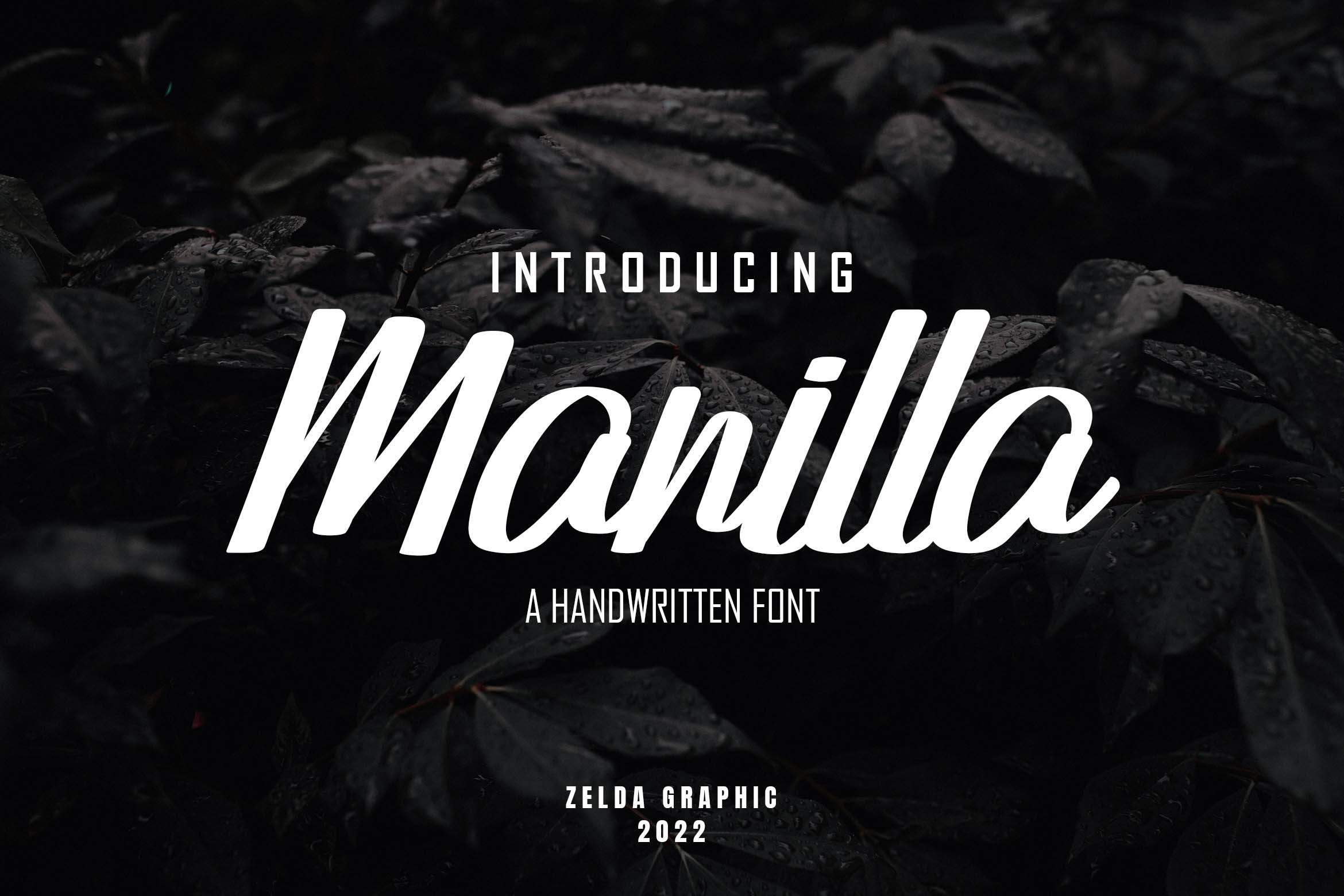 Manilla Script Font