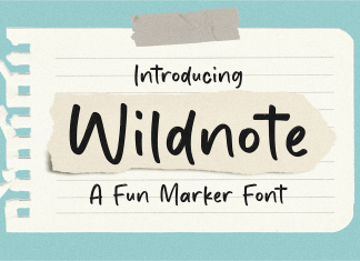 Wildnote Display Font