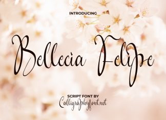 Bellecia Felipe Script Font