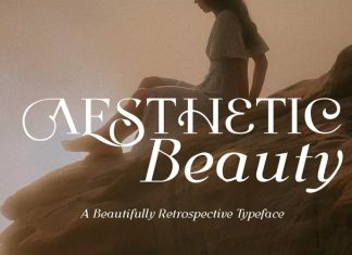 Aesthetic Beauty Serif Font
