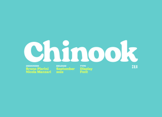 Chinook Serif Font