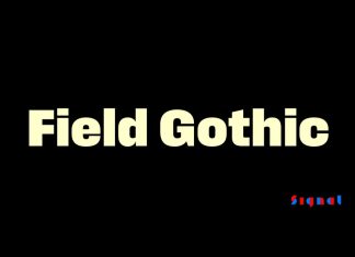 Field Gothic Sans Serif Font