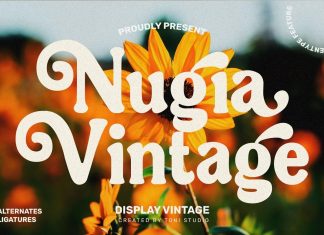Nugia Vintage Display Font
