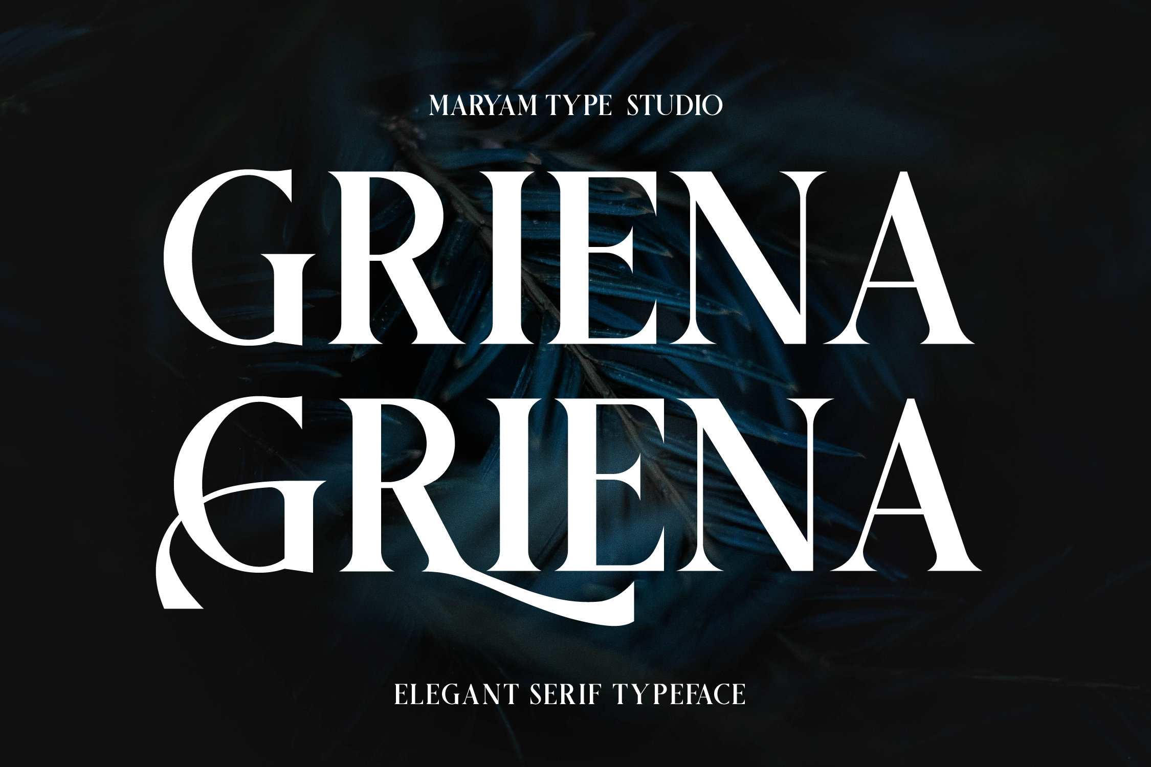 Griena Elegant Serif Font