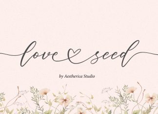 Love Seed Calligraphy Font