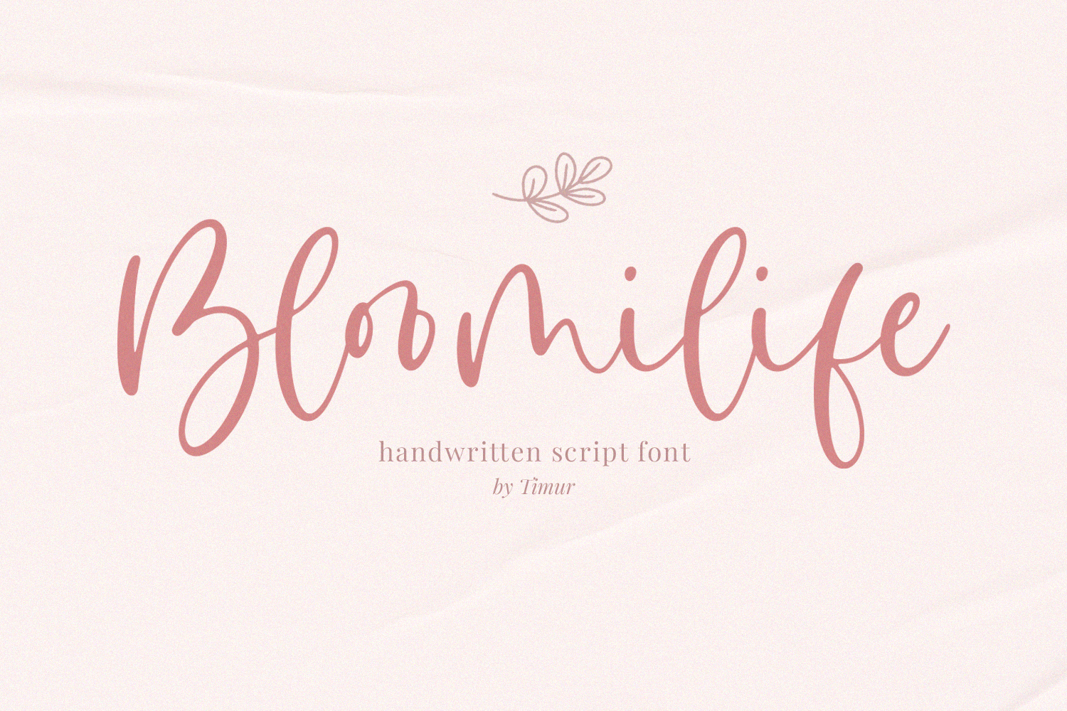 Bloomilife Script Font