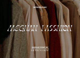 Meghan Fasshion Display Font