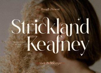 Strickland Keafney Serif Font
