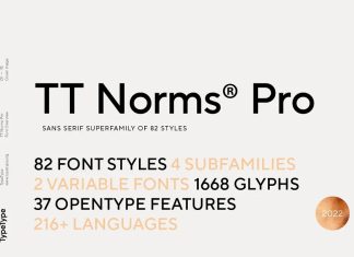TT Norms Pro Sans Serif Font