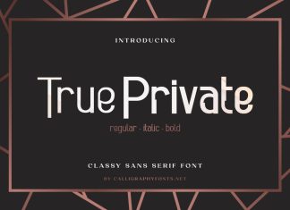 True Private Display Font