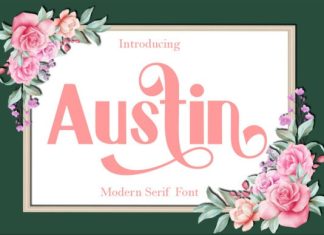 Austin Sans Serif Font