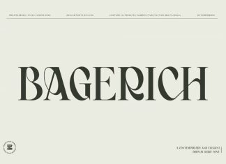 Bagerich Serif Font