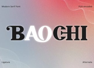 Baochi Serif Font