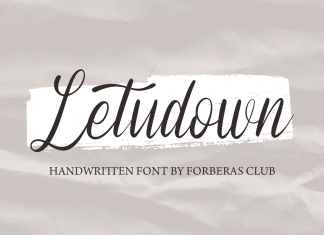 Letudown Script Font
