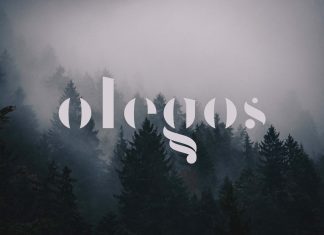 Olegos Display Font
