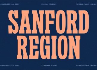 Sanford Region Slab Serif Font