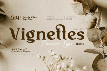 Vignettes Serif Font