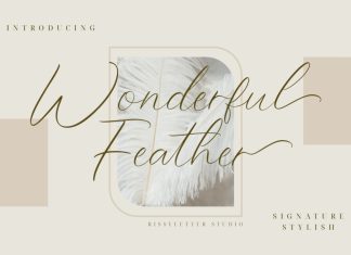 Wonderful Feather Script Font