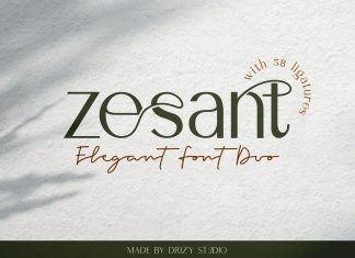 Zesant Sans Serif Font