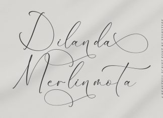 Dilanda Merlinmota Calligraphy Font