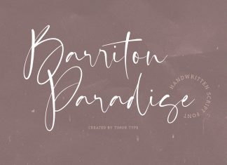 Barriton Paradise Script Font