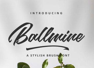 Ballmine Script Font