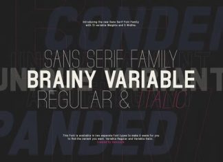 Brainy Sans Serif Font