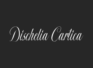 Dischelia Cartica Calligraphy Font