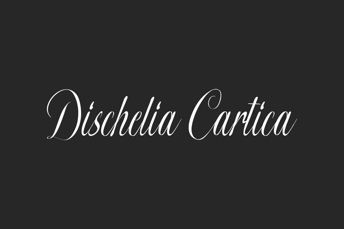 Dischelia Cartica Calligraphy Font
