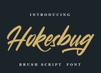 Hokesbug Script Font