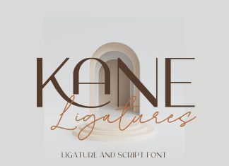 Kane Sans Serif Font